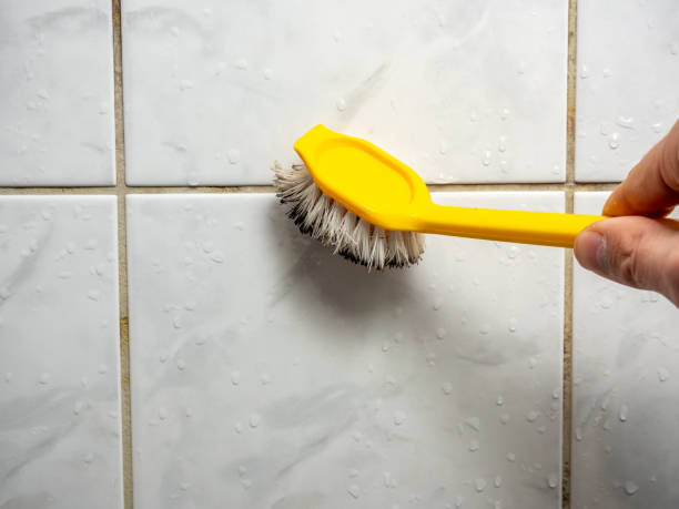  Fort Shawnee, OH Mold Removal Pros