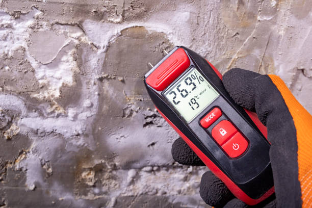 Best Black Mold Removal  in Fort Shawnee, OH