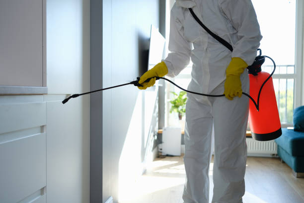 Best Toxic Mold Removal  in Fort Shawnee, OH
