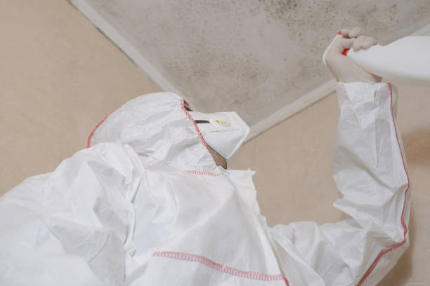 Best Certified Mold Removal  in Fort Shawnee, OH