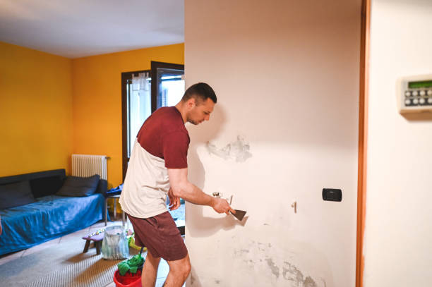 Best Certified Mold Removal  in Fort Shawnee, OH